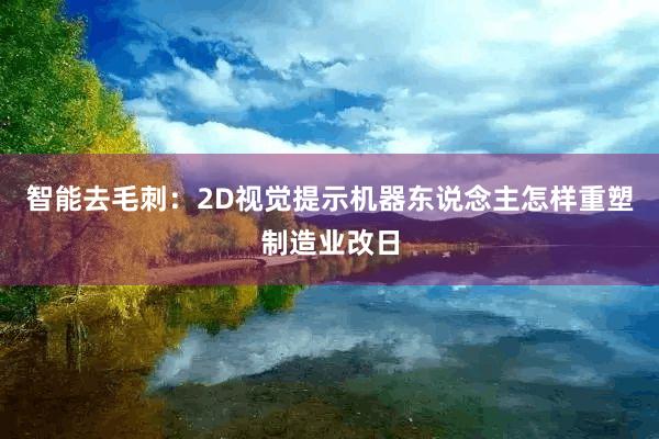 智能去毛刺：2D视觉提示机器东说念主怎样重塑制造业改日