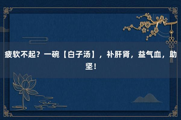 疲软不起？一碗【白子汤】，补肝肾，益气血，助坚！