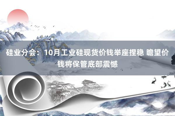 硅业分会：10月工业硅现货价钱举座捏稳 瞻望价钱将保管底部震憾