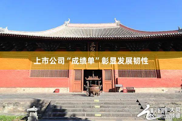 上市公司“成绩单”彰显发展韧性