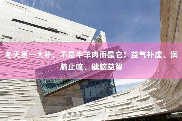 冬天第一大补，不是牛羊肉而是它！益气补虚、润肺止咳、健脑益智