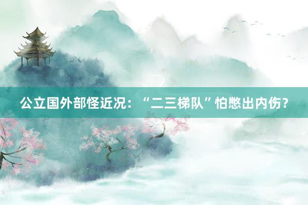 公立国外部怪近况：“二三梯队”怕憋出内伤？