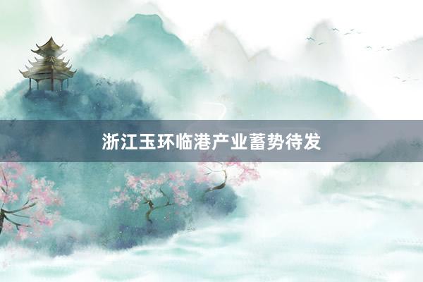 浙江玉环临港产业蓄势待发