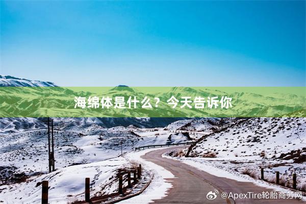 海绵体是什么？今天告诉你
