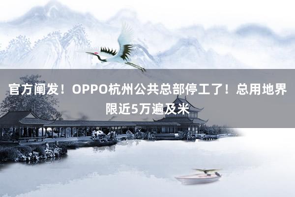 官方阐发！OPPO杭州公共总部停工了！总用地界限近5万遍及米