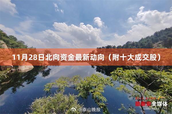 11月28日北向资金最新动向（附十大成交股）