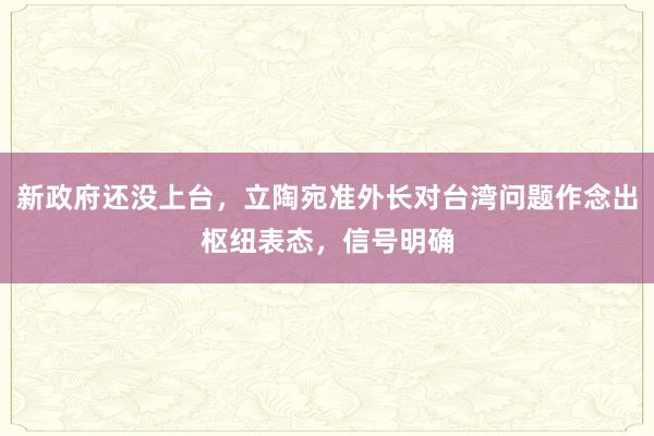 新政府还没上台，立陶宛准外长对台湾问题作念出枢纽表态，信号明确