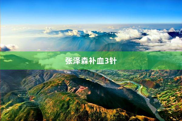 张泽森补血3针