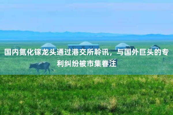国内氮化镓龙头通过港交所聆讯，与国外巨头的专利纠纷被市集眷注